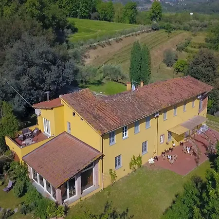 Family Vintage In Capannori