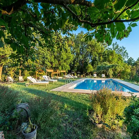 Family Vintage In Villa Capannori